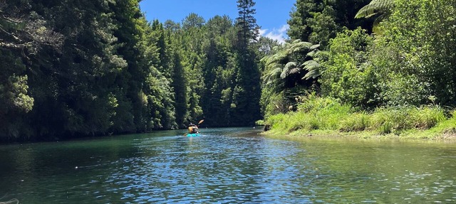 Punga Grove - Bush setting, kayaking, Trout fishing, Waterfalls, Glow worms