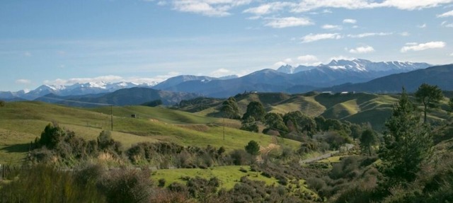 Quince Cottage, Mapua
