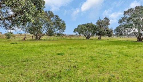 Ruakaka Coastal Reserve Retreat