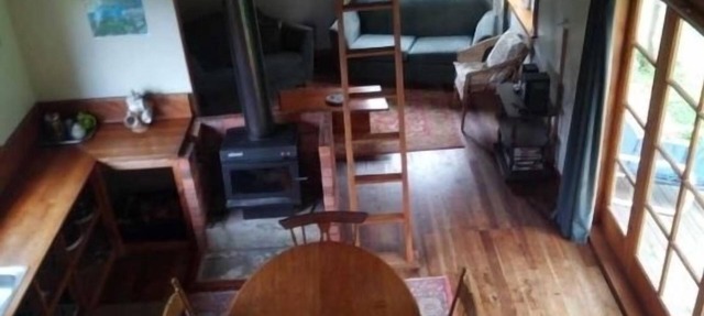 Ruru Cottage - cosy native forest hideaway