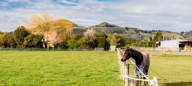 Saddleview Cottage-Horse and Trailer friendly