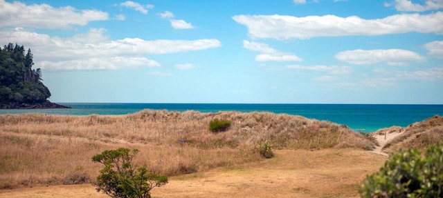Surf Beach Views - Whangamata Holiday Home
