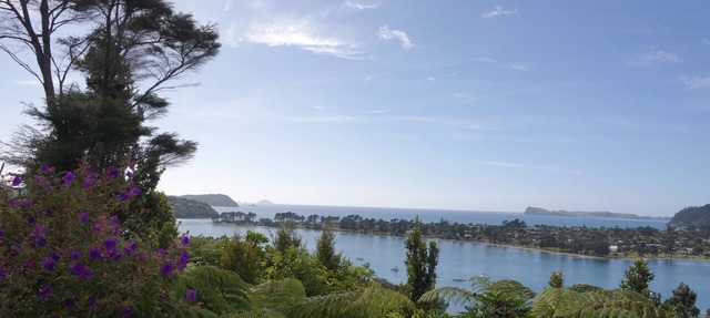 Tairua Tree House - a traditional bach overlooking the Tairua Harbour