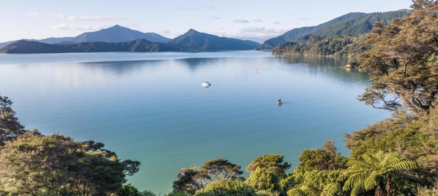 The Bay House - Moetapu Holiday Home