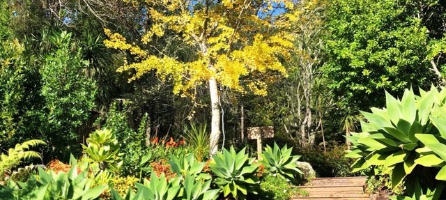 The Lodge at Takou River - Secluded Riverside Retreat in the Bay of Islands