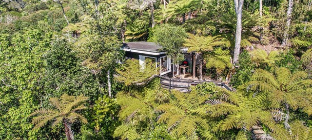 The Treehouse - Raglan Holiday Studio