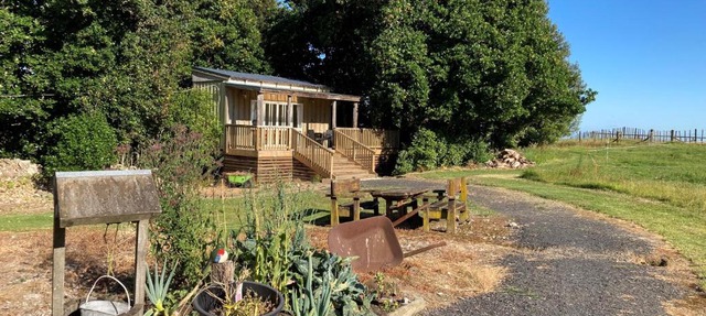 The Treehut