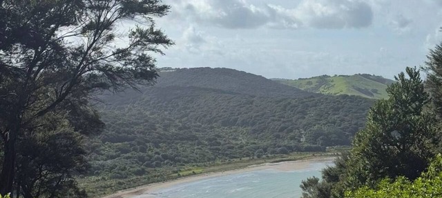 Treehouse on Waiheke