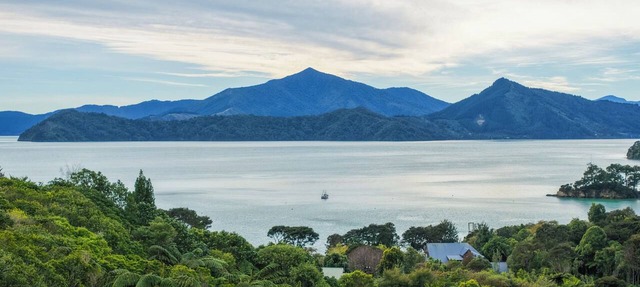 Treetops & Tide Cottage - Moetapu Holiday Home