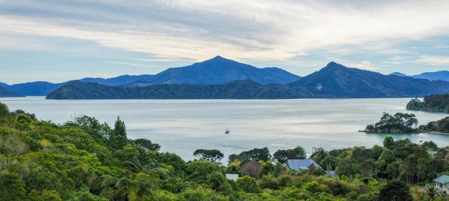 Treetops & Tide Cottage - Moetapu Holiday Home