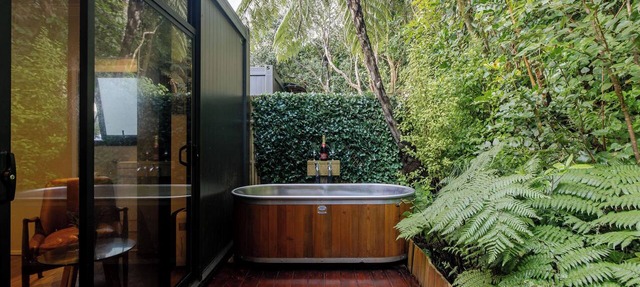 Tui Pod - A sanctuary pod tucked away in a native bush in Wellington