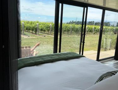 Ultimate Vineyard Escape - Waipara