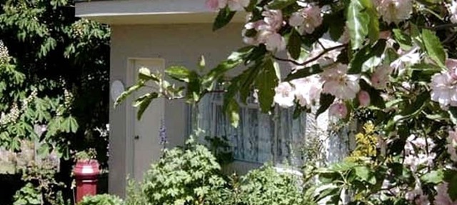 Unique Garden Cottage near the Otago Central Rail Trail on South Island, New Zealand