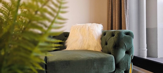 Urban Retreat - Central Auckland Stay
