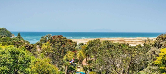 Vitamin Sea - Quirky holiday home in bush setting with views, walk to the estuary and surf beach