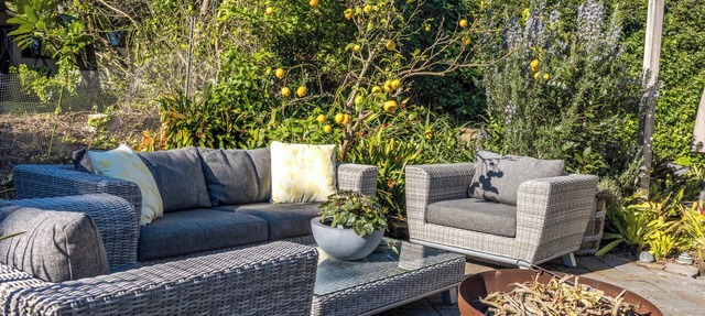 Waiheke Oasis – Pet Friendly!