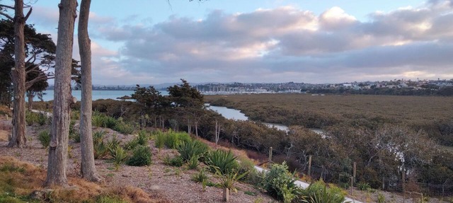 Waterfront Gem, home away from home