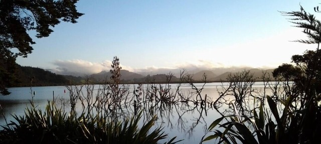 WHITIANGA HOME AWAY FROM HOME - DOG FRIENDLY/BOAT FRIENDLY