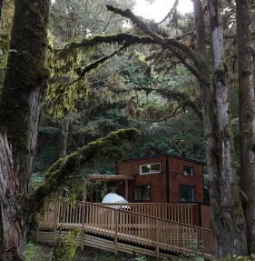 Wonderforest 2 Bedroom Tiny house Ruapehu Unique Stays