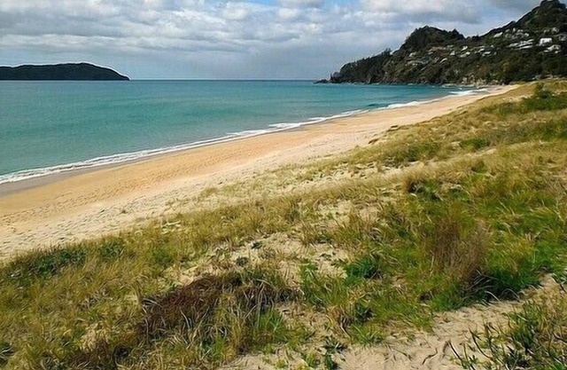 COSY AND CHIC ON OCEAN BEACH - TAIRUA HOLIDAY HOME in Tairua