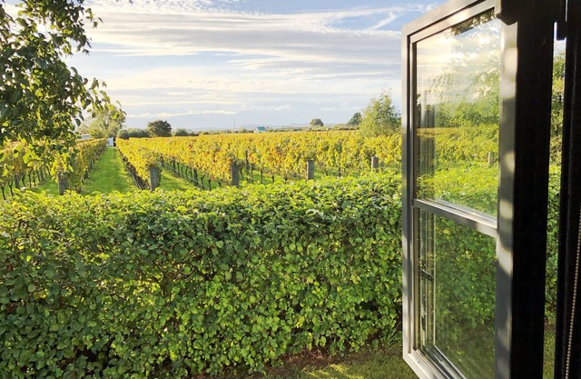 Dara Vineyard Cottage Martinborough