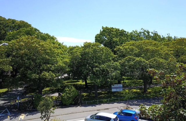 Hagley Park Views and 5 Min Walk to Hospital