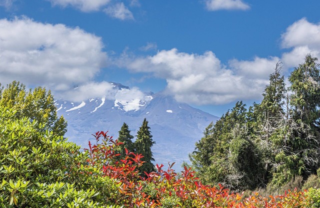Maungatapu Studio 2 - Ohakune Holiday Home
