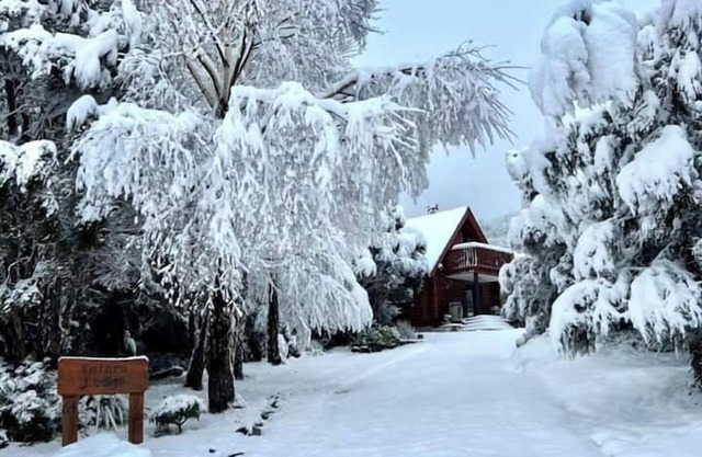 Mt Lyford | Couples Retreat | Totara Lodge - ML7564, Totara Lodge | Couples Retreat | Snow