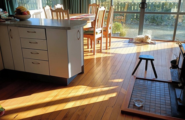 Spacious 4-bedroom, dog friendly family home in Brooklyn.