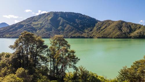 Tepuia Cottage - Havelock Holiday Home