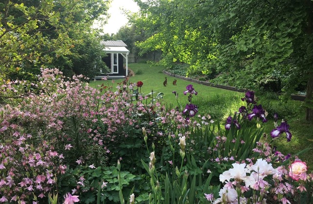 "The Homestead" Acacia Bay, close to The Bay Bar Brasserie & famous L'arte Cafe.