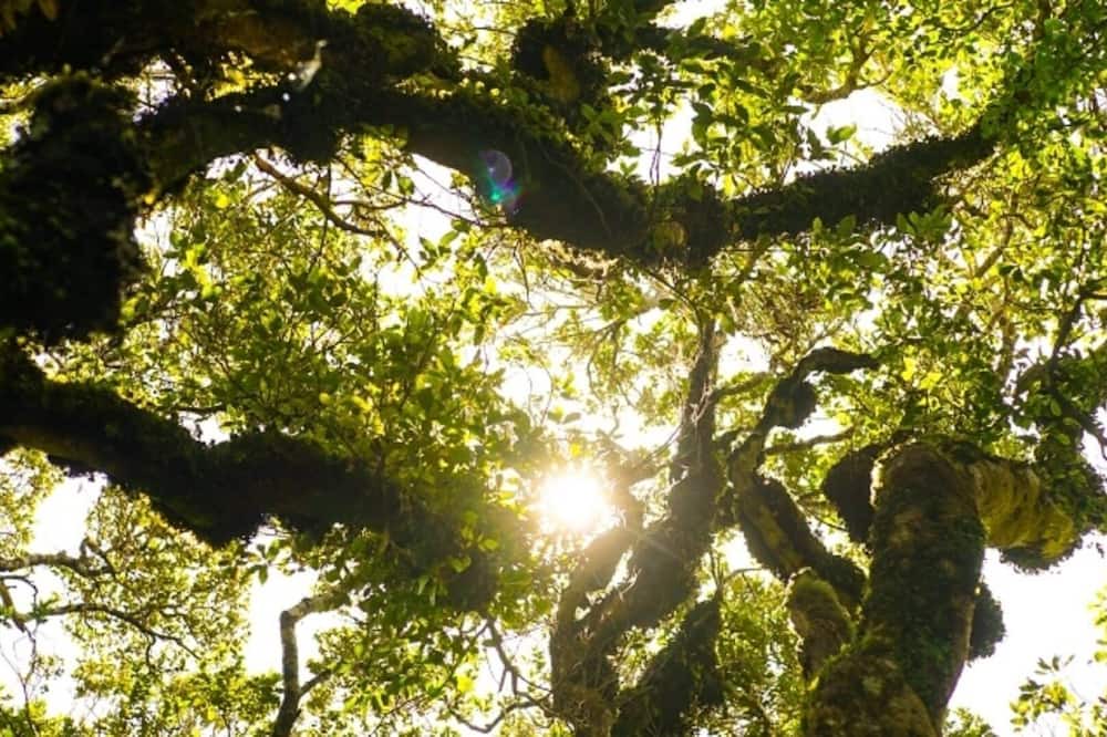 Stratford Apartment | Unwind @ Taranaki Relaxing Eco Suite