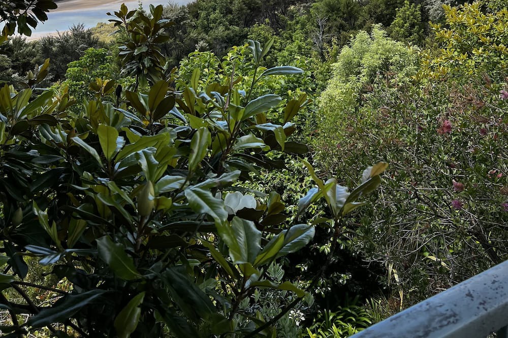Haruru House | Sea views, 3 minutes drive to Paihia, 3 bed home