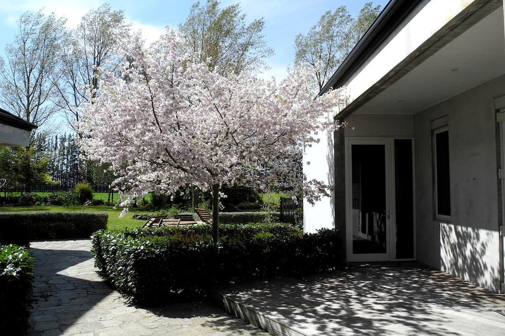 Swannanoa Villa | Gorgeous Family-Friendly Getaway near Christchurch, South Island