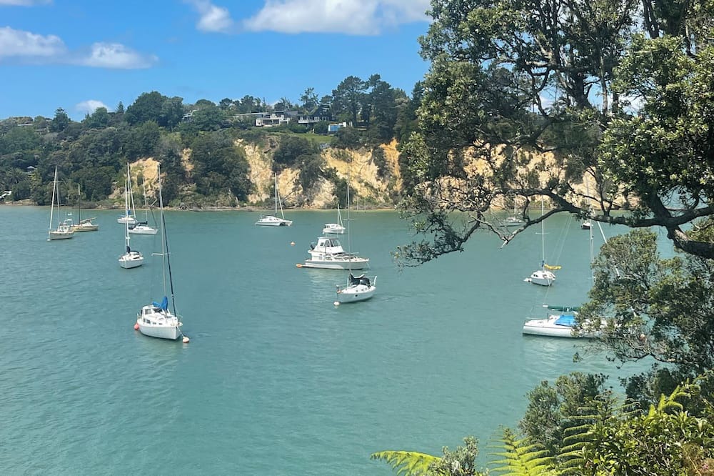 Auckland House | The Hidden Paradise