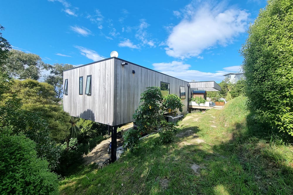 Dunedin House | Tree top and ocean views