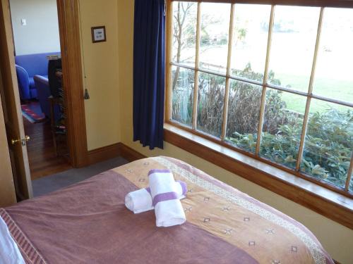 Papatowai Cabin | Hilltop Accommodation Catlins