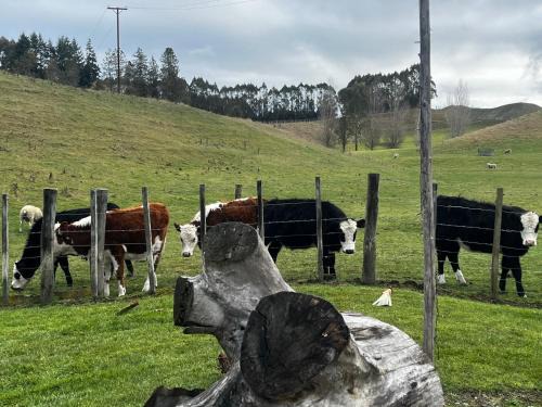 Taihape House | Pohokura Country Stay