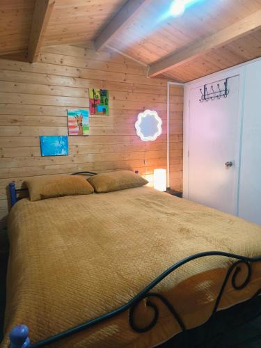 Lower Shotover House | Gorgeous Cabin Private Entrance & Ensuite