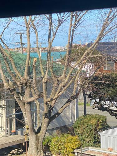 Timaru House | The Bay House