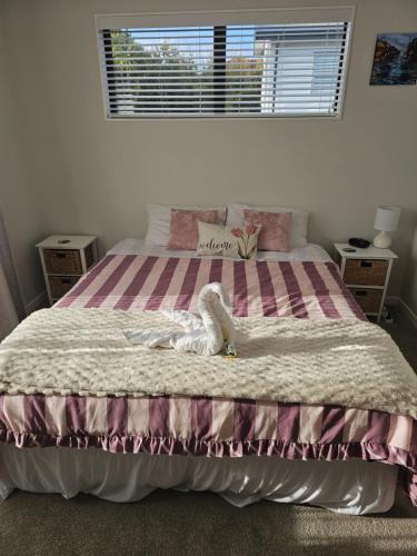 Devonport Bed & Breakfast | Large bedroom with en-suite in a new house Devonport