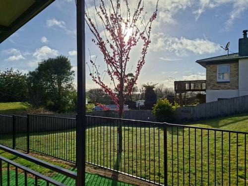 Ngongotaha Apartment | Apartments in New Zealand