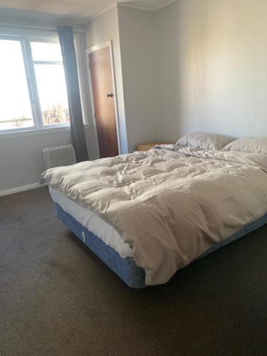Upper Riccarton House | Cozy accommodation