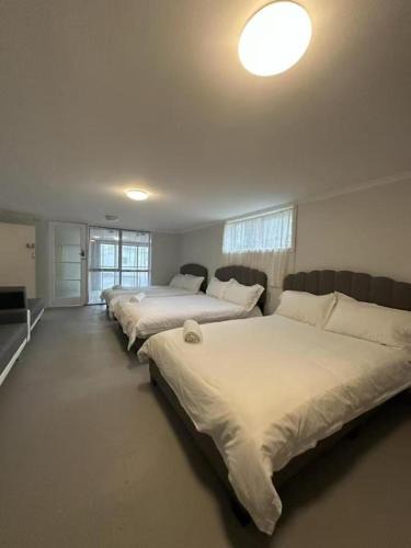 Palmerston North Apartment | 3 double beds and 2 sofa beds studio
