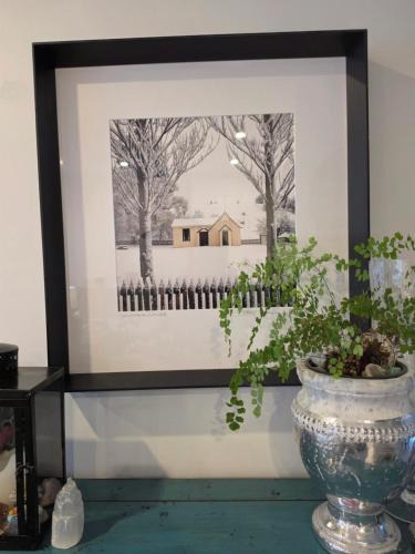 Wanaka Apartment | Wanaka Adventures