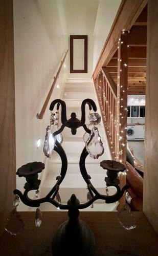 Mapua House | Beech Hill - Pet Friendly Holiday Home