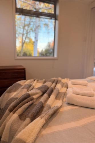 Twizel House | Glenbrook Cottage Twizel - Walk to Town, Sleeps 6, Wi-Fi, Pets OK