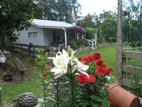 Miranda House | Miranda Orchard Cottage