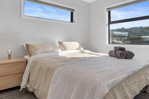 Waihi Beach House | Recline on Leo