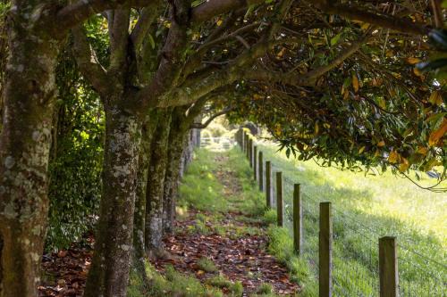 New Plymouth House | Fig Cottage
